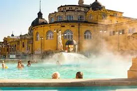 Winter mist rising from Széchenyi thermal pool surrounded by snow